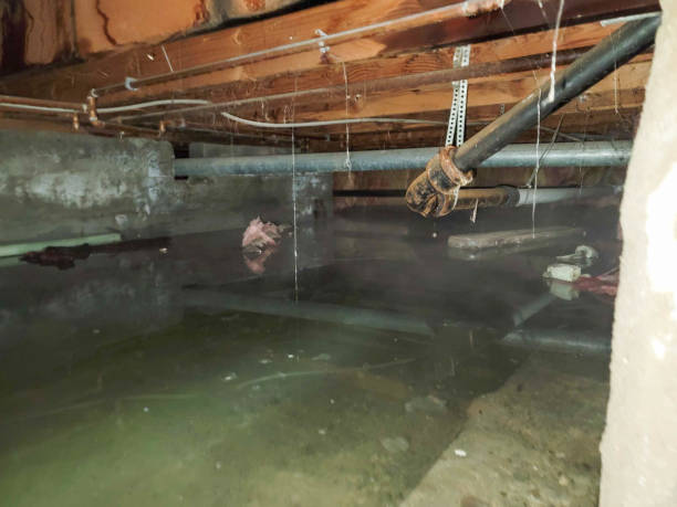 Best Water damage contractors near me  in San Marino, CA