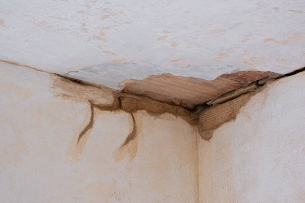 Best Water damage restoration near me  in San Marino, CA
